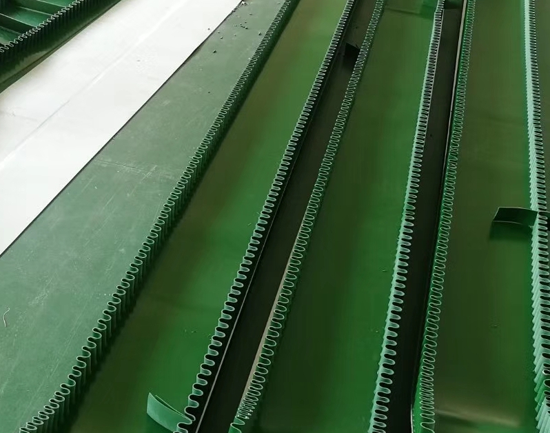 1637806431916381.jpg 1q11.jpg